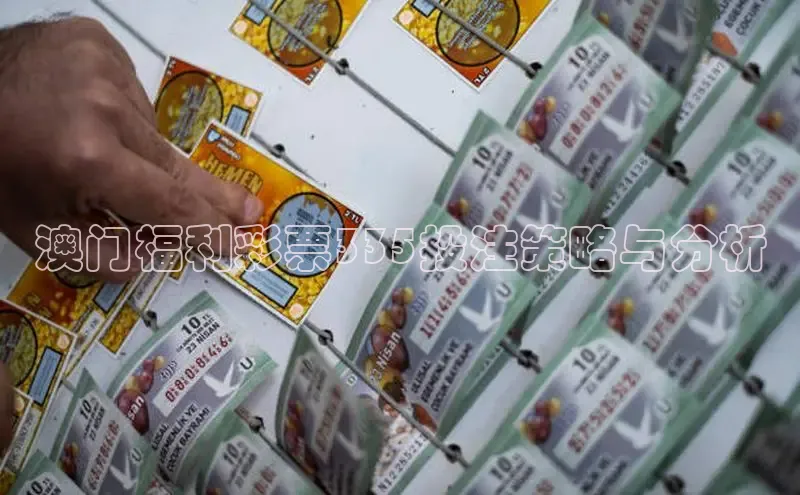 澳门福利彩票335投注策略与分析